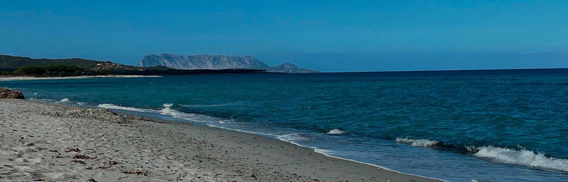 newvacanzehome.easyrentals.pro