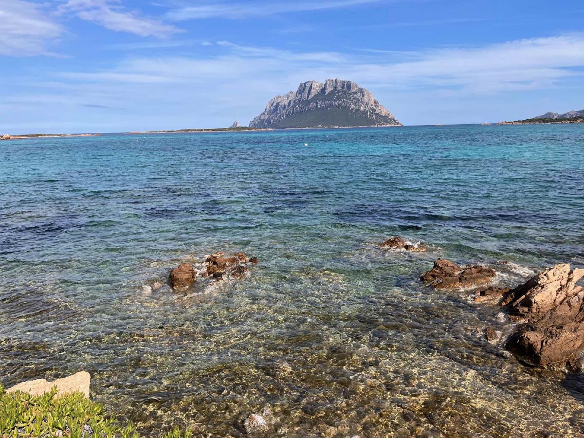 Dettagli Casa Vista Mare Agru Budoni Sardegna