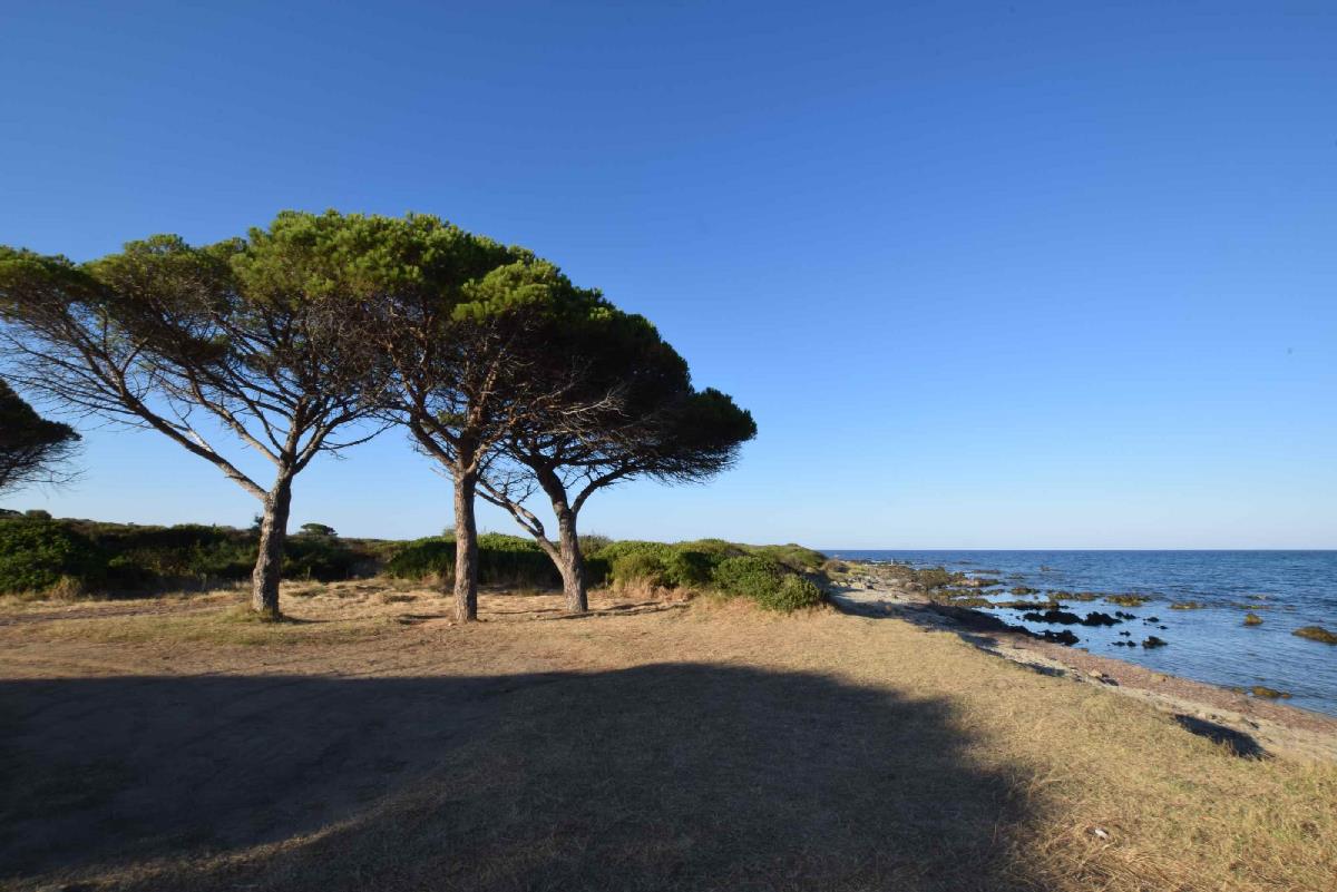 Dettagli villetta sul  mare Budoni Sardegna