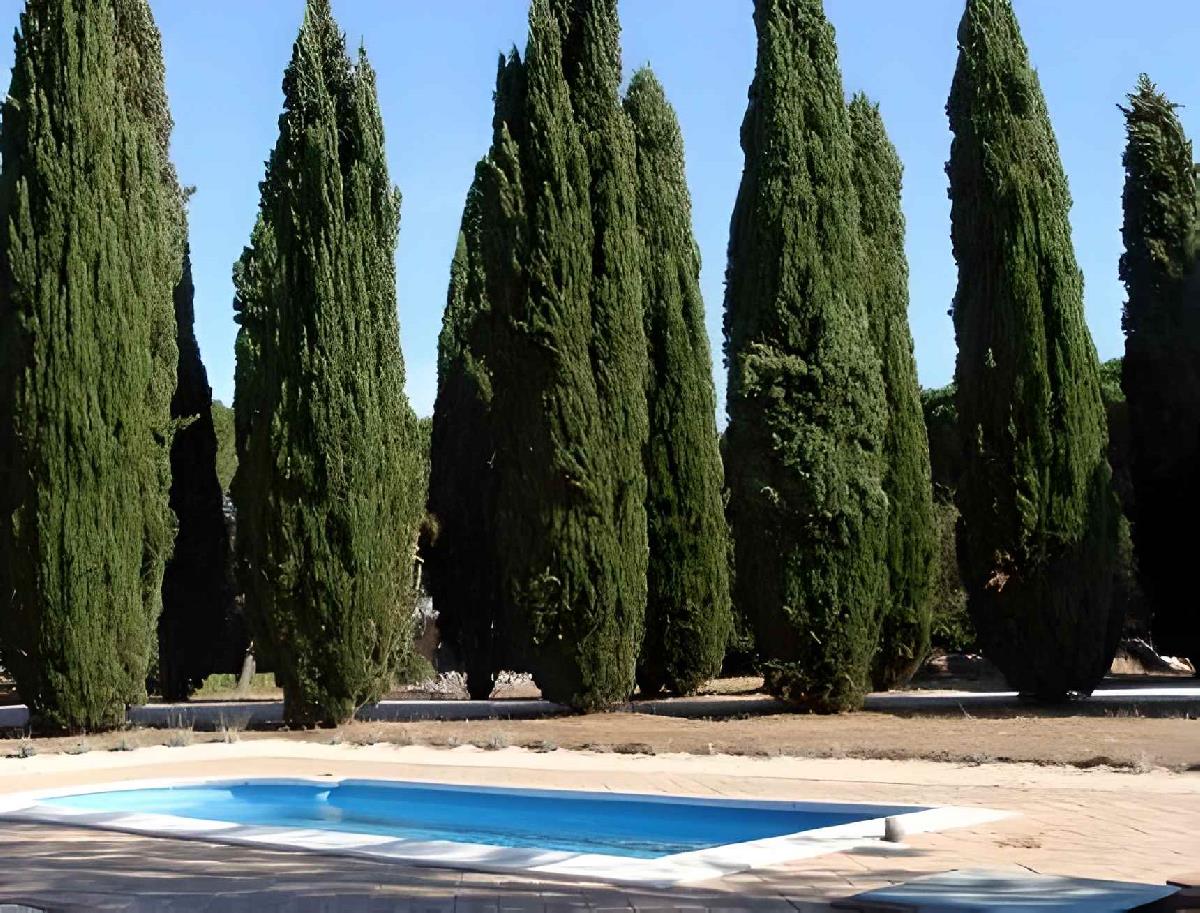 Piscina Villa Torricola Roma LAZIO
