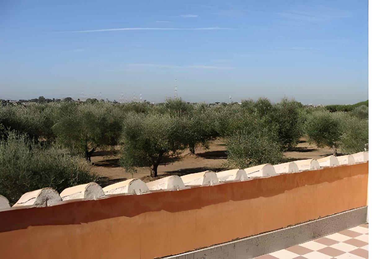 Balcone Villa Torricola Roma LAZIO